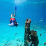 Catamarán VIP a Isla Mujeres: Barra Premium y Buffet Exclusivo - Miniatura 1